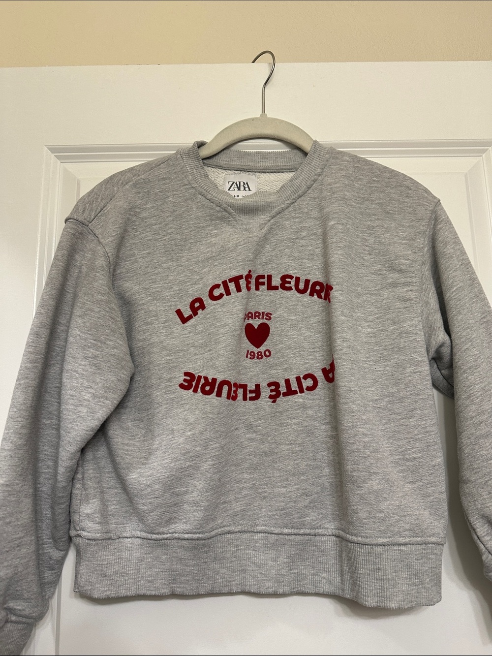 ZARA Kids Light Gray Crewneck Sweatshirt with Red Graphic
